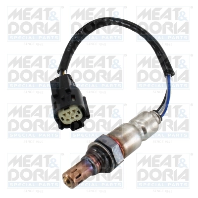Oxygen Sensor